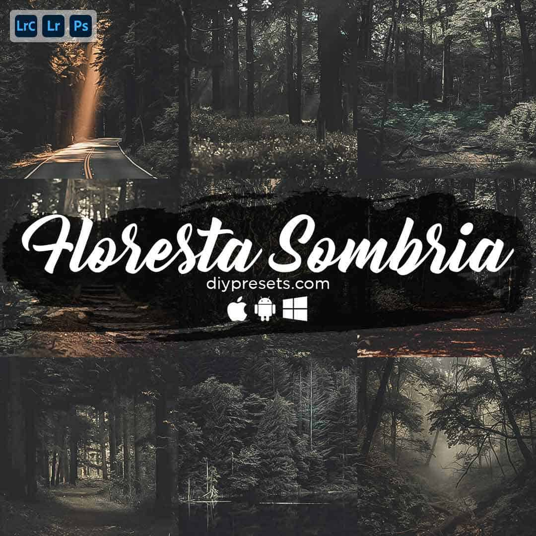 Floresta Sombria Preset Desktop & Mobile Lightroom