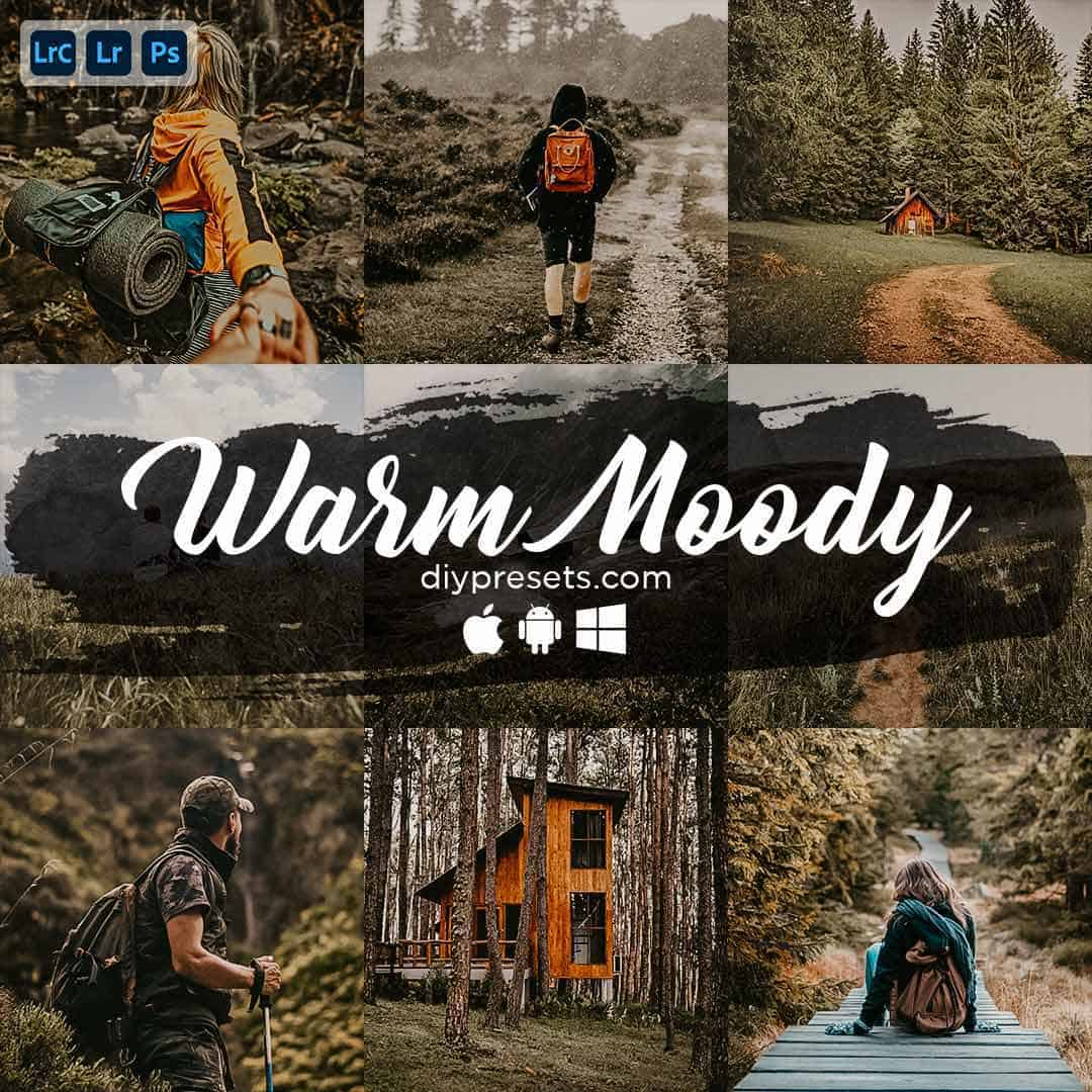 Warm Moody Preset Desktop & Mobile Lightroom